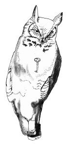 A drawing of an Owl with a key on its chest.