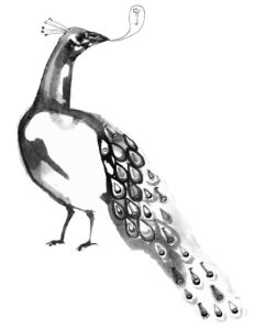 A drawing of a peacock 