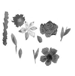 A drawing of various flowers and plants